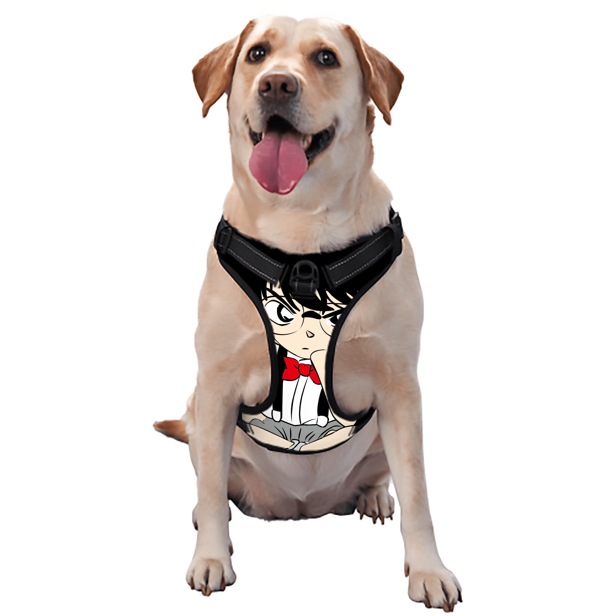 （画像用） 名探偵コナン 江戸川 コナン Detective Conan Conan Edogawa ペット用ハーネス